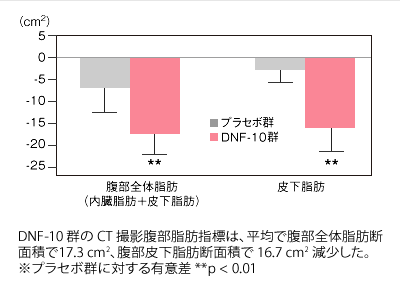 腹部脂肪面積の変化